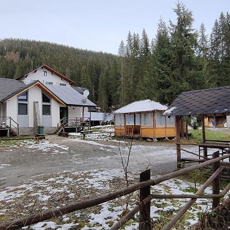 Complex Transalpina Lac Voineasa Εξωτερικό φωτογραφία