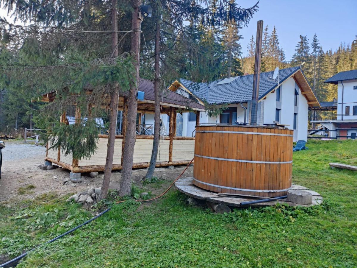Complex Transalpina Lac Voineasa Εξωτερικό φωτογραφία