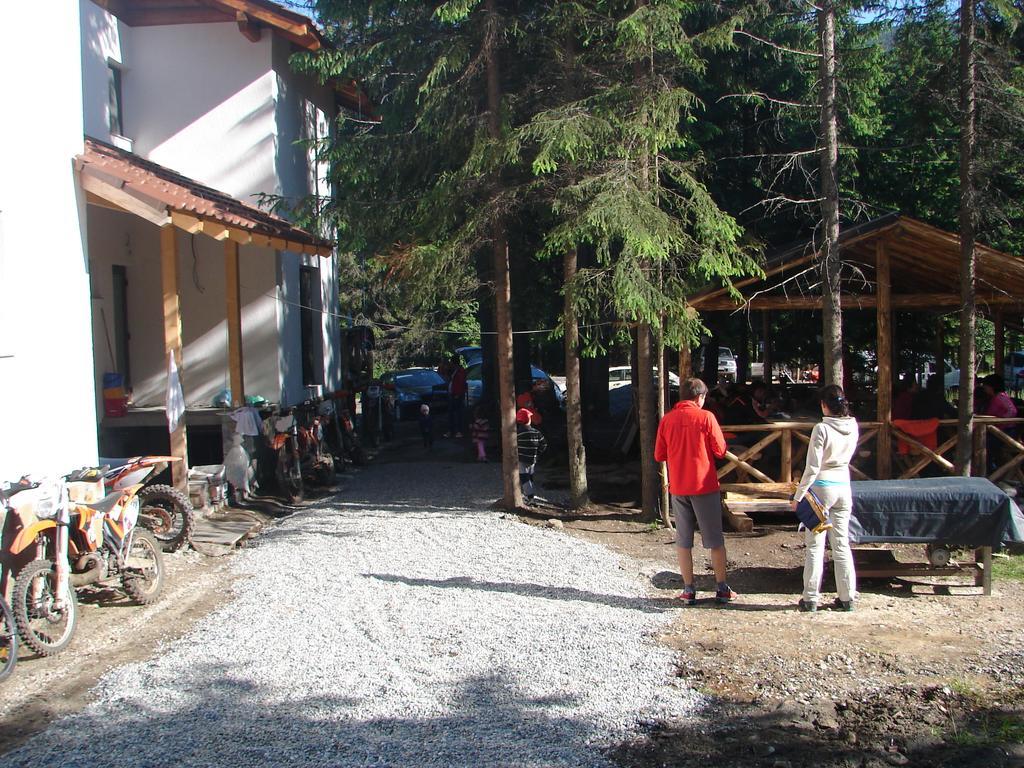Complex Transalpina Lac Voineasa Εξωτερικό φωτογραφία