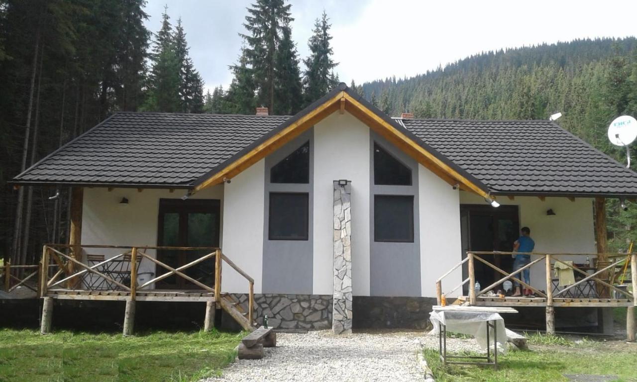 Complex Transalpina Lac Voineasa Εξωτερικό φωτογραφία