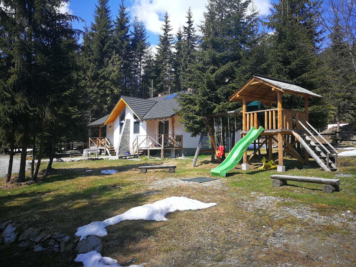 Complex Transalpina Lac Voineasa Εξωτερικό φωτογραφία